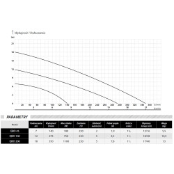 Nierdzewna pompa zatapialna do wody brudnej QBO 200 230V IPRO