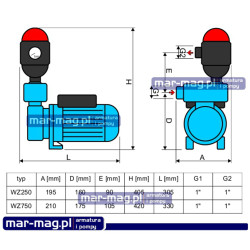 WZ250 + BRIO SK-13 0,25kW 230V bezzbiornikowy zestaw hydroforowy OMNIGENA