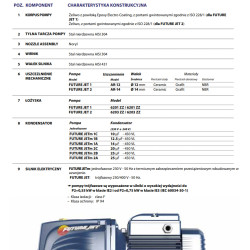 FUTURE JETm 1A 0,55kW 230V pompa hydroforowa PEDROLLO