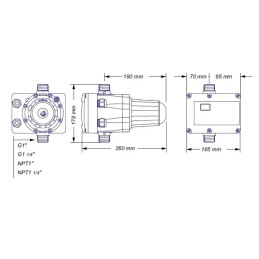 DPR wyłącznik ciśnieniowy z reduktorem 230V 1.1/4" COELBO
