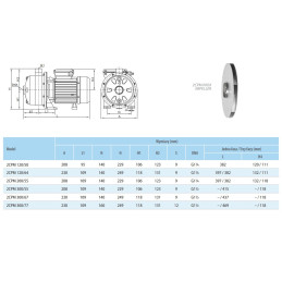 2CPM 300/55T 2,2kW 400V pompa odśrodkowa IPRO